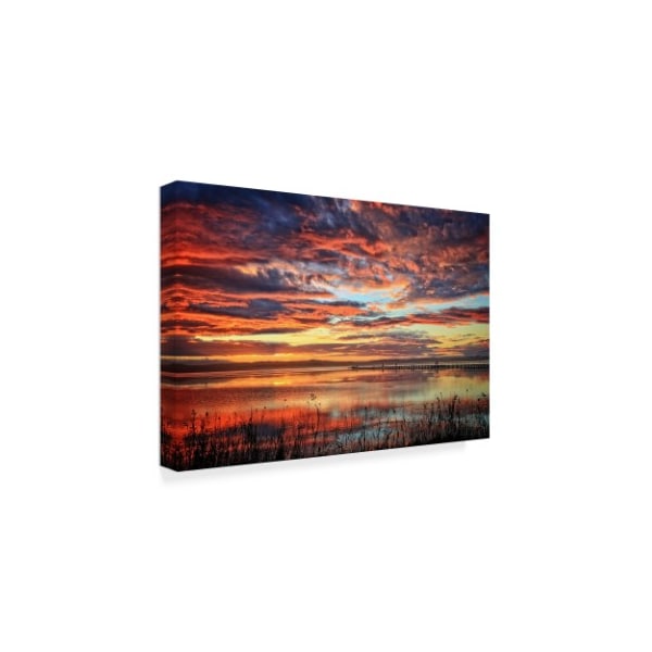 Beata Czyzowska Young 'Winter Skies' Canvas Art,12x19